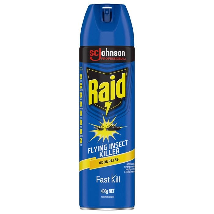 Raid 400g Pest Flying Insect Killer Odourless
