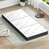 STARRY EUCALYPT Folding Mattress 3-Fold Foldable Foam Single Mesh