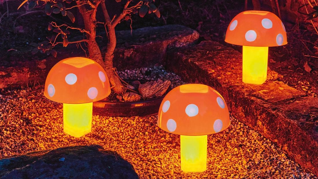 Mushroom lampshades in a garden next to a tree.