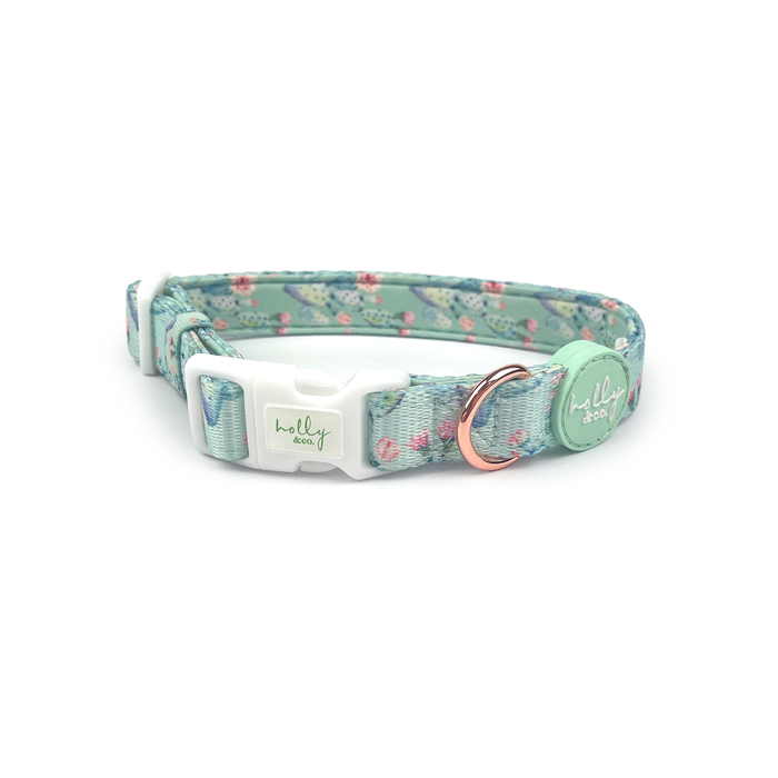 Holly & Co Pretty Fly For A Cacti Medium Green Stylish Dog Collar