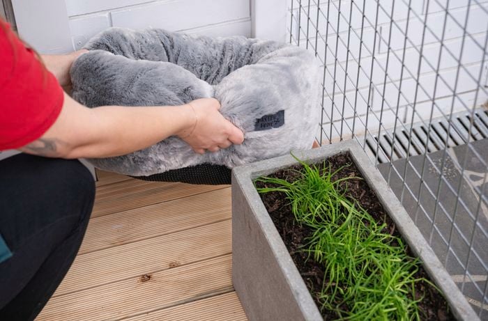 Elevate cat's space for ultimate comfort and stimulation