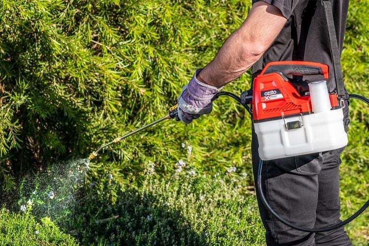 Person using powered pressurised sprayer to water garden