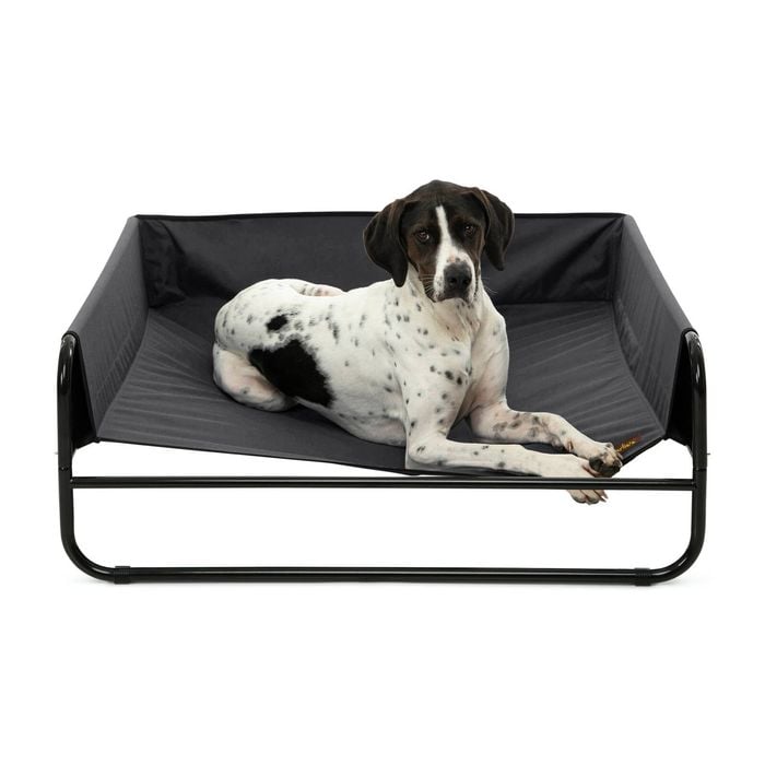 Charlie's High Walled Outdoor Trampoline Dog Bed Black - Medium