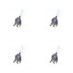 4PK Dc Comics Luggage Tag Suitcase Identity Label  - Batman