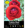 Yarra Valley Bulbs Ranunculus Florentine Red - 20 Pack