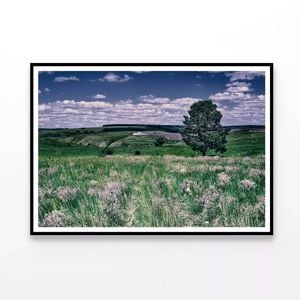 Flowers with a Tree under a Sky  Print 100% Australian Made 120x90cm  (Poster)