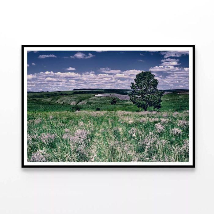 Flowers with a Tree under a Sky  Print 100% Australian Made 120x90cm  (Poster)