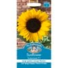 Mr Fothergill's Sunflower Supernova F1 Flower Seed