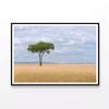 Tree in an Open Field with Sky  Print 100% Australian Made 90x60cm  (Poster)