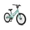 Progear Duralite 20" Bike In Mint