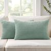 Gioia Casa 2-pack Corduroy Velvet Cushion Covers - 30cm X 50cm, Seafoam