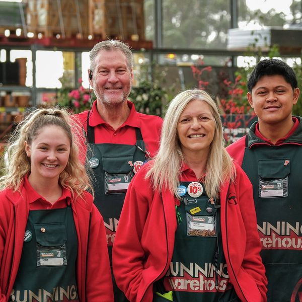 Multiple Bunnings Team Members in an outdoor nursery.