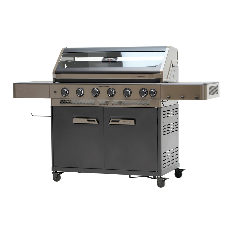 6 burner gas barbecue best sale