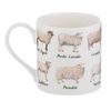 Ashdene Best Breed Sheep Mug