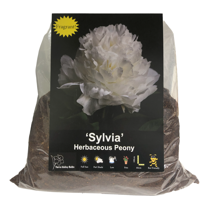 Yarra Valley Bulbs Peony Sylvia 1 pack
