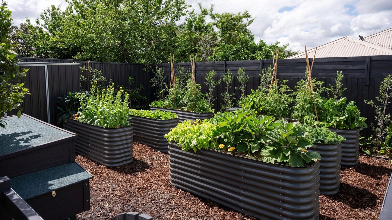 Patio Garden Bed with Base