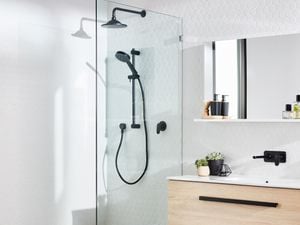 bathroom shower and vanity