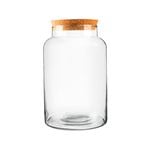 Medium Closed Terrarium Bottle