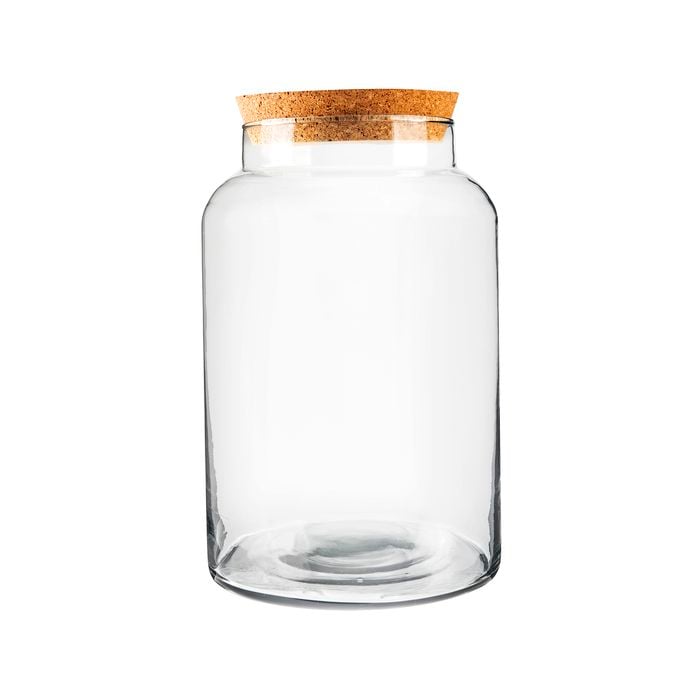 Medium Closed Terrarium Bottle