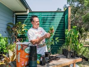 Horticulturalist Adam from Workshop.