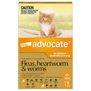Advocate For Cats Flea and Worming Spot-On Up To 4kg - 6 Pack