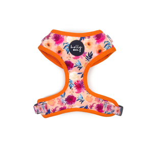 Holly & Co  Sweet Coraline Small Orange Stylish Dog Harness