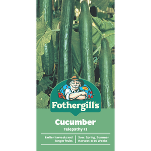 Fothergill's Cucumber Telepathy F1 Seeds