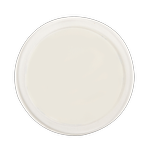 Naleon Ultimate Mounting Disc