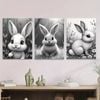 3pcs Black & White Rabbit Modern & Classic Style Print 100% Australian Made 3 x 40x60cm (Metal Print)