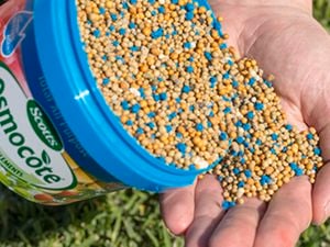 hand holding fertiliser granules