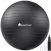 METEOR Black 65-75cm Yoga Ball with Pump