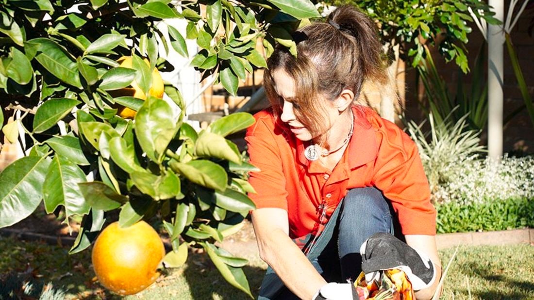 Person sitting down gardening in the summer sun.