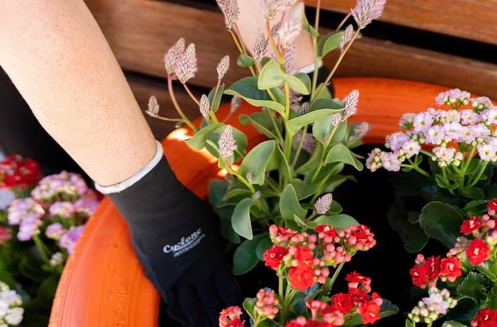 A person wearing gardening gloves is carefully adding soil and plants into a colourful recycled tyre planter to create a bright and decorative garden feature.