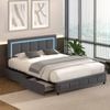 Oikiture Bed Frame Rgb Led Queen Size With 4 Storage Drawers Adjustable Headboard