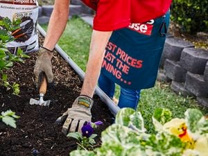 Person digs in a herb garden with a small hand shovel.