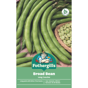 Fothergill's Broad Bean Long Cascine Vegetable Seeds