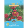 Mr Fothergill's Coral Creeper Flower Seeds