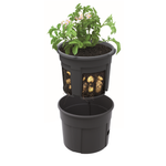 Maze Potato Grower Planter 400