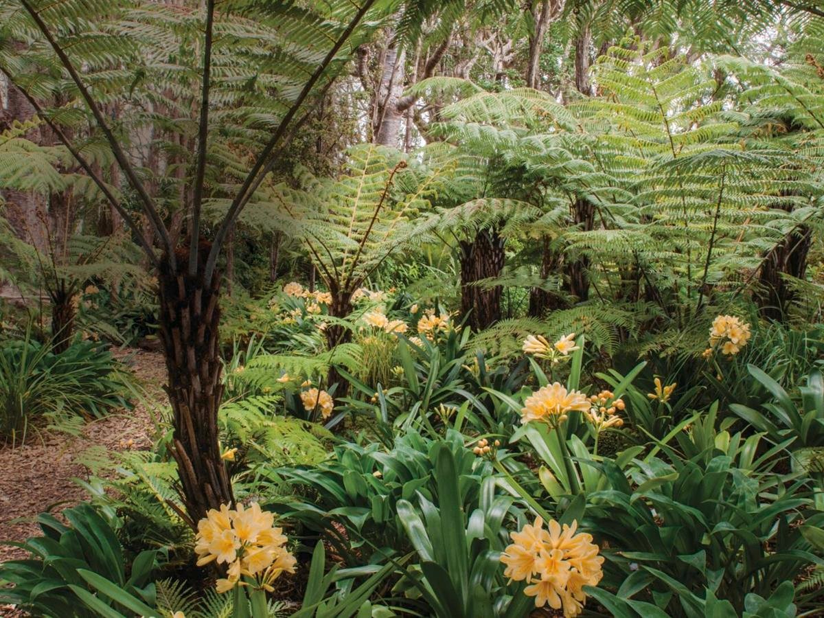 Gardening Guide: What To Plant In Winter - Bunnings Australia