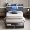 Advwin Queen Bed Frame with RGB LED and Charging Station Metal Platform Bed Frames with 2 Storage Drawers Grey