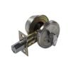 Ikonic Stainless Steel Single Cylinder Deadbolt