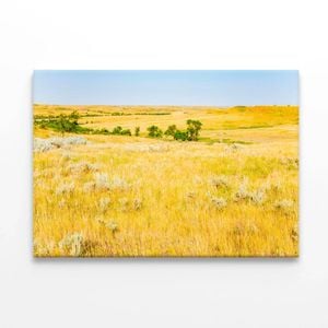 Grassland in North Dakota  Print 100% Australian Made 75 x 50cm  (Stretched)