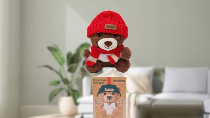 A Bunnings Mystery Bear with a red beanie, red and white scarf and a white top above a cardboard Bunnings Mystery Bear box.