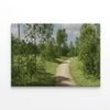 Path Surrounded By Trees  Print 100% Australian Made 120 x 90cm  (Stretched)