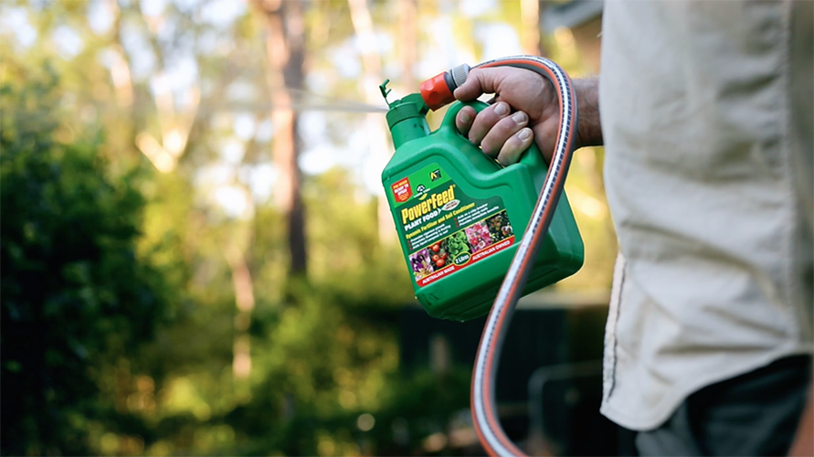 Person spraying garden with Power Feed Plant Food bottle attached to garden hose