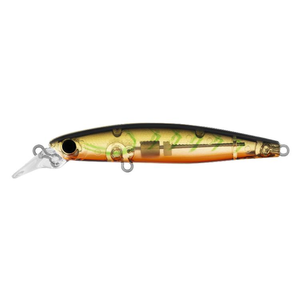 Daiwa 2022 Infeet Sazanami 60 SP Hard Body Fishing Lure Risky Suji