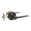 Ikonic Matte Black Slimline Passage Lever Set