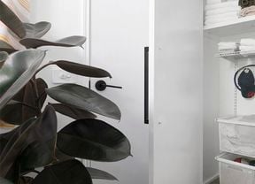 Plant in front of a white door.
