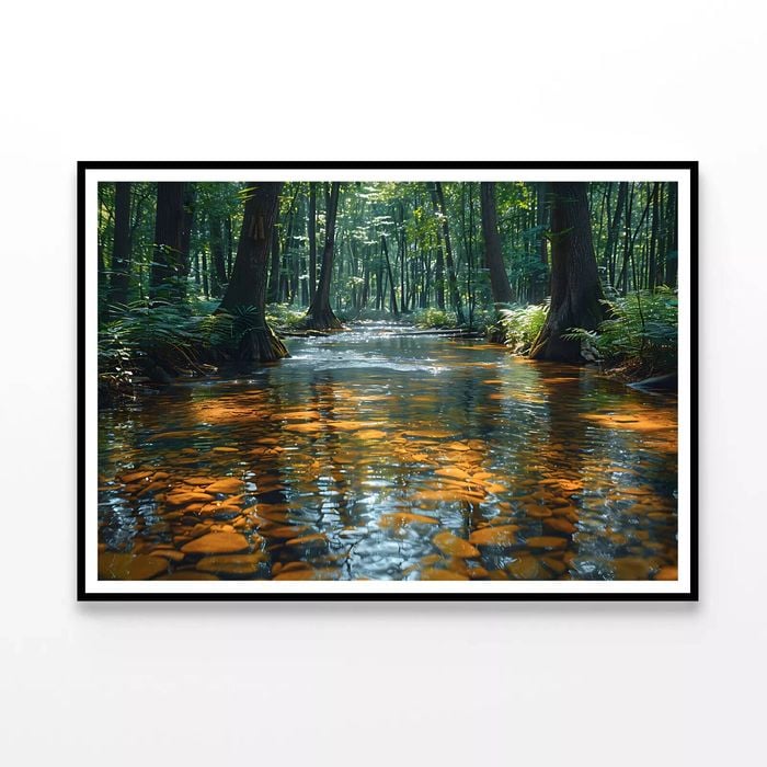 View of Forest in the Morning  Print 100% Australian Made 90x60cm  (Poster)
