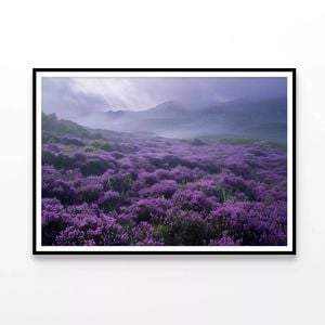 View at Heather Meadows  Print 100% Australian Made 90x60cm  (Poster)